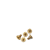 731941_Brass_screw_1